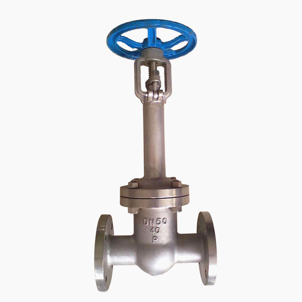 DZ40Y低溫法蘭閘閥